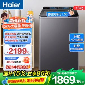 海尔(Haier) 13公斤 变频 全自动 波轮洗衣机 精华洗 除菌螨 玻璃盖 仿手搓 XQB130-BSE37B