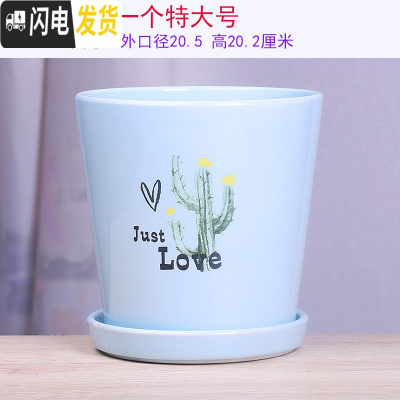 三维工匠两个大号花盆陶瓷带托盘清创意个性家用吊兰绿萝多肉绿植花盆 30-蓝掌一个21厘米 大花盆容器