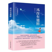 诺森风没有翅膀辜芷妍9787531742北方文艺出版社