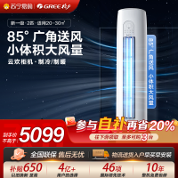 格力空调云欢新能效2匹变频冷暖柜机空调 KFR-50LNhGr1Bt 家用冷暖低音 新一级能效
