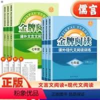 现代文阅读训练+文言文阅读训练 九年级 [正版]金牌阅读七八九年级现代文文言文阅读训练 初中生789年级上册下册语文阅读