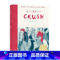 [正版]我今天遇到一个crush 索菲·伯罗斯著 孤独的现代都市人对于浪漫爱情的美好憧憬