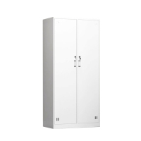 合祥源 HX-G06 二门更衣柜 900*420*1800mm (计价单位:组)