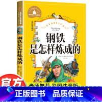 钢铁是怎样炼成的 [正版]钢铁是怎样炼成的 小学生彩图注音版 世界经典儿童文学小说名著 6-12周岁少儿读物 一二三年级