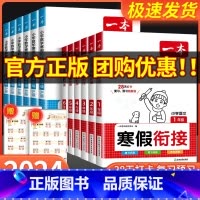 [语文]寒假衔接+练字帖 小学一年级 [正版]2024一本寒假衔接作业一年级二年级三四五六年级上册人教版全套语文寒假阅读