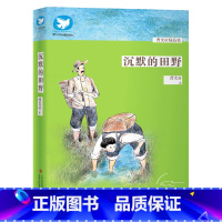 [正版]沉默的田野 曹文轩精品集 纯美的文字 暖心的故事感动孩子纯真的心灵 送给每一个孩子的礼物学生课外书籍学校