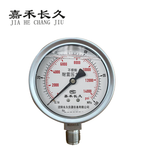 嘉禾长久 不锈钢耐震压力表 YN100BF 0-100Mpa 个
