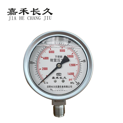嘉禾长久 不锈钢耐震压力表 YN100BF 0-100Mpa 个