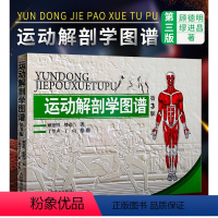[正版]运动解剖学图谱(第3版) 运动解刨学运动医学书籍运动训练绘画人体健身人体全面解剖图谱体育医学专业书籍理论