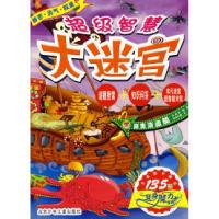 正版新书]超级智慧大迷宫·魔鬼海盗船马亚利 朵朵亿童9787530121