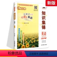 [正版]2021新版培优宝典知识集锦小升初英语 全国版 英语基础知识大全考点归纳三四五六年级小升初英语专项总复习语法句