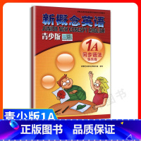 [正版]新概念英语青少版1a同步语法练习 含参考答案 新概念英语青少版1a同步语法快乐练 新疆青少年出版社 新概念青少