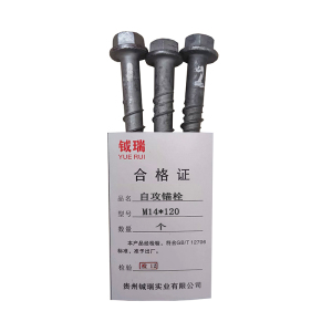 钺瑞自攻锚栓M14*120/个