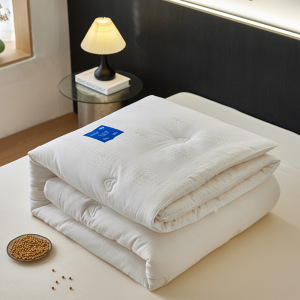 秋冬A类山宁泰30大豆冬被纯棉被子母婴子母被芯大豆春秋被