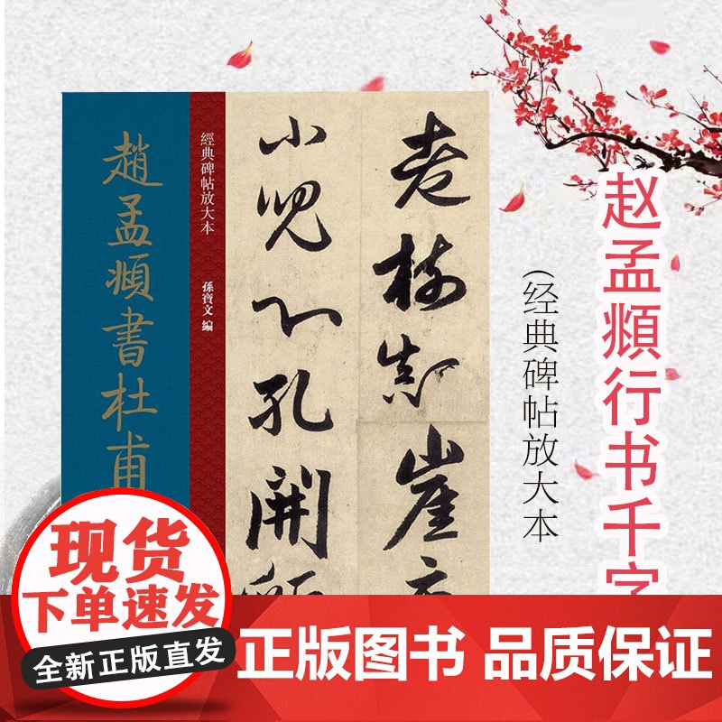 经典碑帖放大本——赵孟頫行书千字文 全文高清彩色放大版繁体旁 赵氏行书 行书字帖 篆刻碑帖 书法字帖 上海人民美术出版社