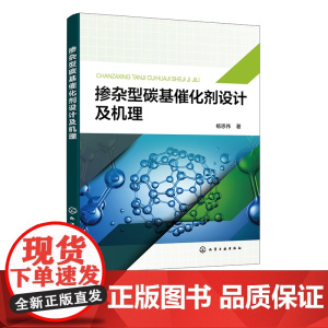 掺杂型碳基催化剂设计及机理 催化在能源 环境 化学工业等领域关键作用 通过密度泛函理论计算研究的四类新型掺杂型碳基催化剂