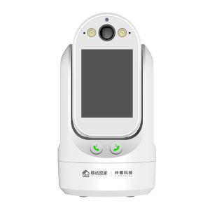 泰迪信 LY-YT45AI-PM 摄像头 1 个