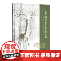 雪鹿(3-8岁) 信谊原创图画书