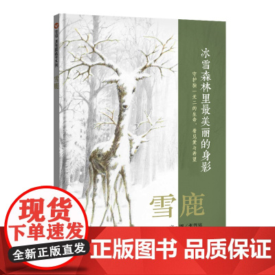 雪鹿(3-8岁) 信谊原创图画书