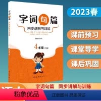 [字词句篇] 四年级下 [正版]2023春新版 字词句篇同步讲解与训练四年级下册 4年级字词句篇同步讲解辅导 南海出版
