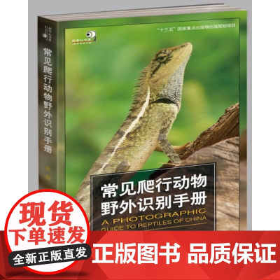 常见爬行动物野外识别手册