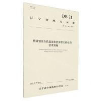 [N]桥梁预应力孔道注浆密实度无损检测技术规程(DB21T3827-2023)/辽宁省地方标准-151144621