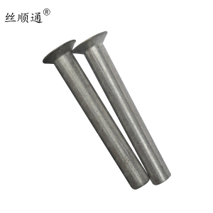 丝顺通 沉头铝铆钉 M8*58/个