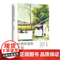 恰到好处的幸福 知名心理咨询师毕淑敏作品中国文学散文随笔温暖心灵的女性励志读物中国现当代文学丛书