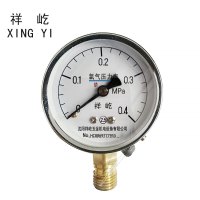 祥屹 +氧气压力表检测定制型+YO60+块