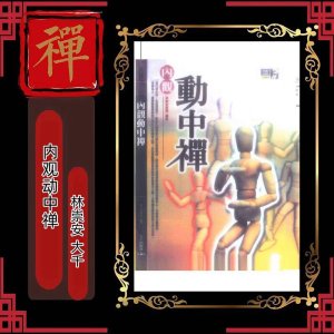 内观动中禅
