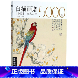 [正版]白描画谱5000例(中篇禽鸟走兽)