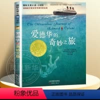 爱德华的奇妙之旅-注音版 [正版]兔子坡注音版二年级 6-7-8-9-10-12岁一二三四年级小学生课外阅读物图书儿童