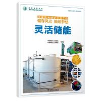 正版新书]灵活储能/国家风光储输示范工程储存风光输送梦想中国