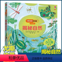 尤斯伯恩揭秘低幼版 揭秘自然 [正版]尤斯伯恩揭秘系列儿童翻翻书低幼版揭秘自然幼儿园认知小百科全书撕不烂宝宝绘本婴儿启蒙