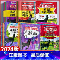 2本套装)现代文+课外阅读A版 小学六年级 [正版]2024版新黑马阅读 小学一二三四五六年级语文现代文阅读古诗文阅读课