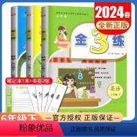 [正版]2024金3练 六年级下册语文数学英语江苏人教版苏教版译林版 6年级下 同步小学课时单元练习阶段复习金三练