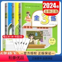 [正版]2024金3练 六年级下册语文数学英语江苏人教版苏教版译林版 6年级下 同步小学课时单元练习阶段复习金三练