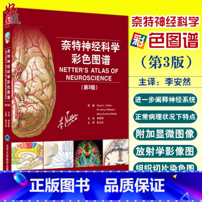 [正版] 奈特神经科学彩色图谱 第三版 第3版 神经系统临床解剖书 内科学神经科学抑郁症睡眠障碍临床医学 奈特神经系统