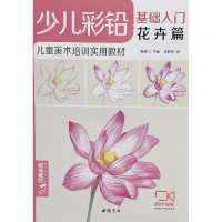 音像少儿彩铅基础入门(花卉篇儿童美术培训实用教材)杨建飞