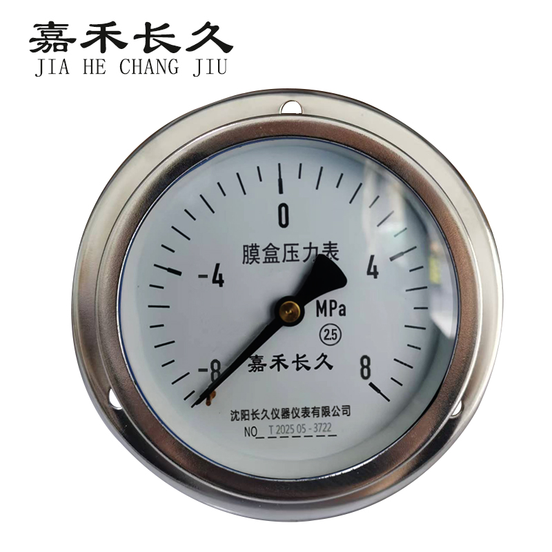 嘉禾长久 膜盒压力表轴向带边检测型 YE100ZT 正负8Kpa 块