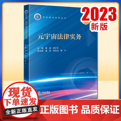 2023新书 元宇宙法律实务 黄斌 张叶丰主编 潘良 侯玉洁 康宁副主编 法律出版社