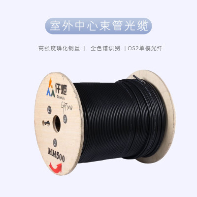 仟炬QJGL-W20B52DPE-12BK 室外中心束管平行钢丝铠装光缆,单模G.652D,12芯,PE护套,黑色/米