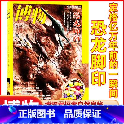 2023年5月[恐龙脚印] [正版]鸻鹬专题博物杂志2023年10月另有1-9月可选+2024全年半年订阅中国国家地理青