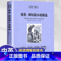 爱伦坡短篇小说精选 [正版] 读名著学英语:爱伦坡短篇小说精选 中英双语书世界文学名著课外词汇训练语法巩固词汇注释扫清阅