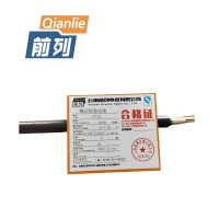 前列Qianlie 铜芯铠装电缆YJV22-0.6/1KV-2X16mm2 米
