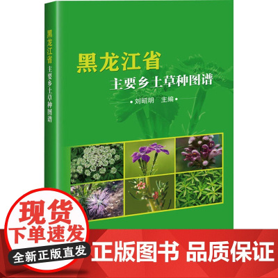 黑龙江省主要乡土草种图谱 刘昭明 编著 中国农业科学技术出版社9787511659453