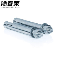 沁春莱 膨胀螺丝 M14*100 个