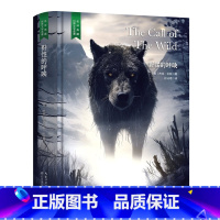 野性的呼唤 [正版]精装珍藏版世界文学名著名译典藏中小学生课外阅读书籍外国文学名家翻译爱的教育爱丽丝梦游奇境变形记茶花女