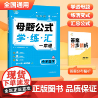 53天天练小学数学母题公式学练汇一本通三四五六年级全国通用小学数学母题大全人教版小学数学核心母题题型小学3456年级数学
