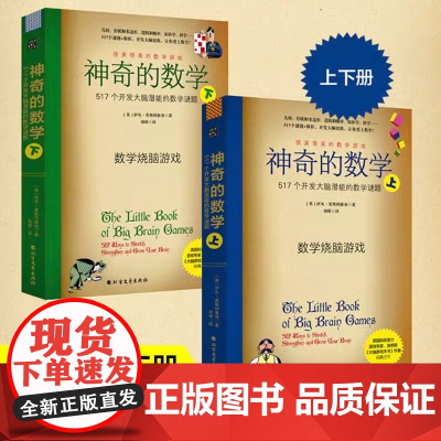 神奇的数学 517个开发大脑潜能的数学谜题升级版上下套 10-15岁中小学生益智课外读物书提高孩子数学空间逻辑思维能力